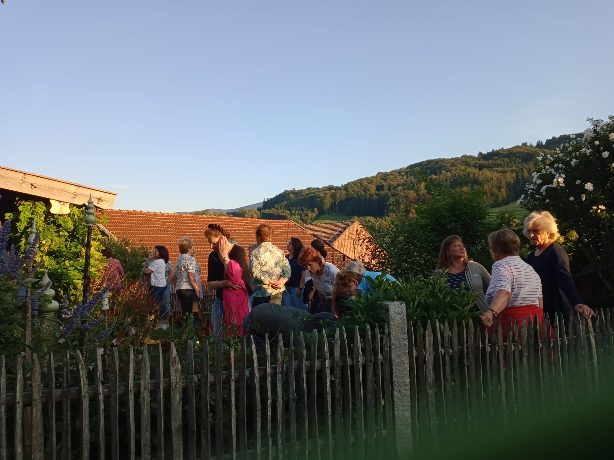 Gartenratsch
